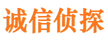 河口区市婚外情调查